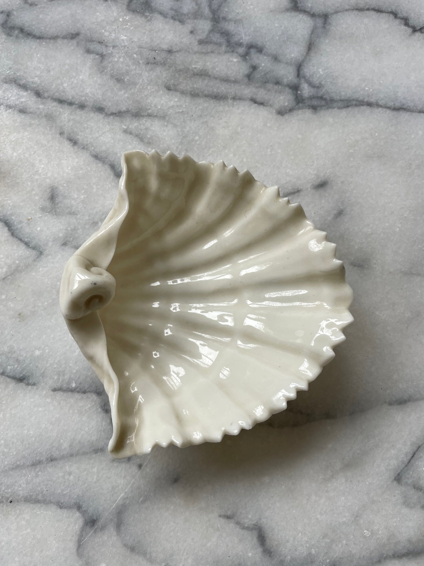 Royal Worcester Porcelain Shell