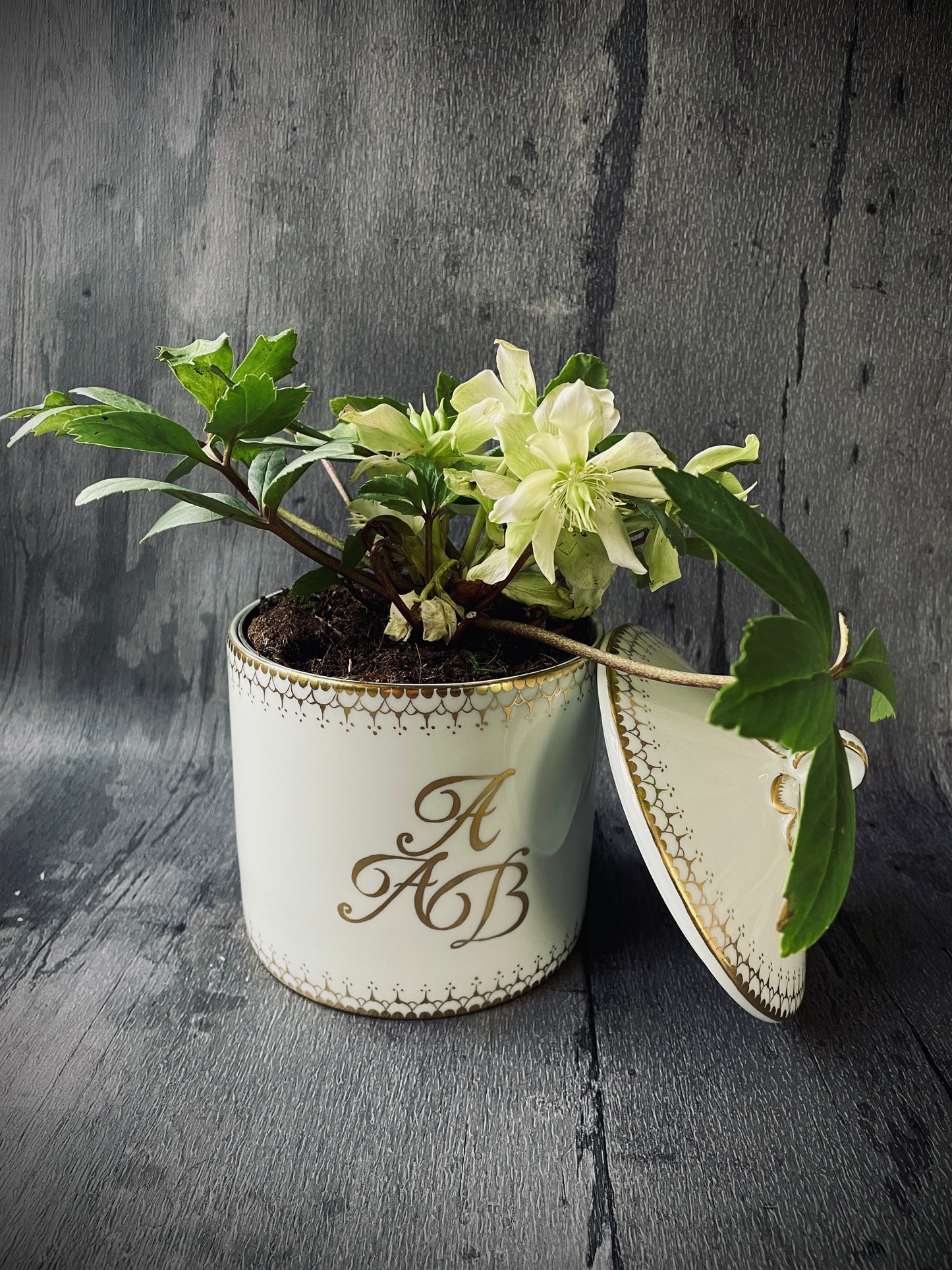 White and Gold China Cachepot