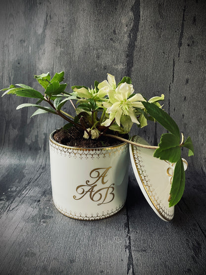 White and Gold China Cachepot