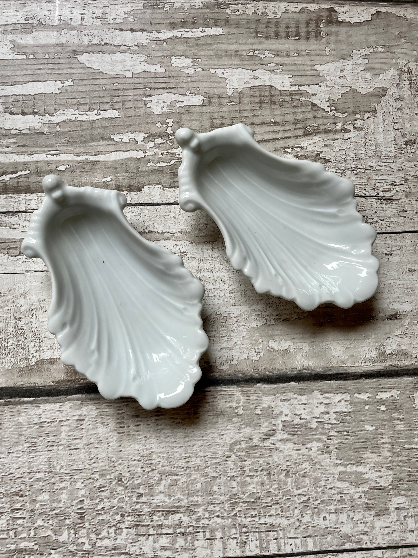 Pair of Vintage Limoges Small Relish Dishes