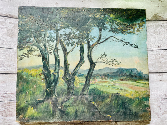 Vintage Landscape Oil Painting on Canvas